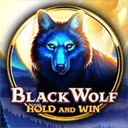 Trải nghiệm sòng bạc trực tiếp với người chia bài thật tại SM66 Casino
